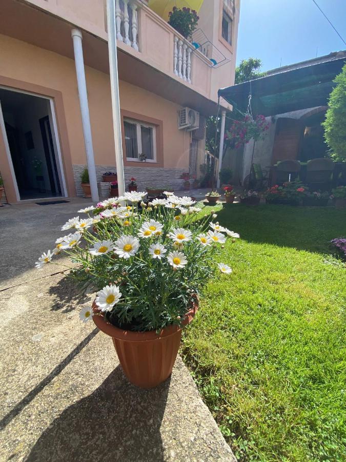 Apartment Dora Zadar Ngoại thất bức ảnh