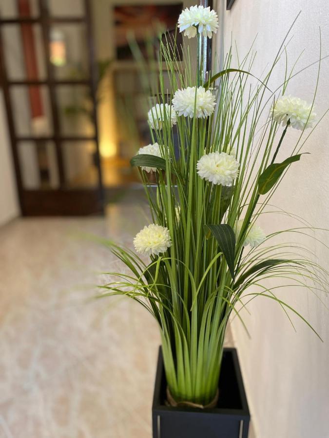 Apartment Dora Zadar Ngoại thất bức ảnh
