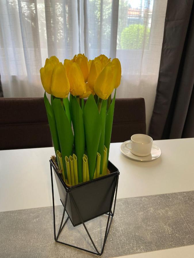 Apartment Dora Zadar Ngoại thất bức ảnh